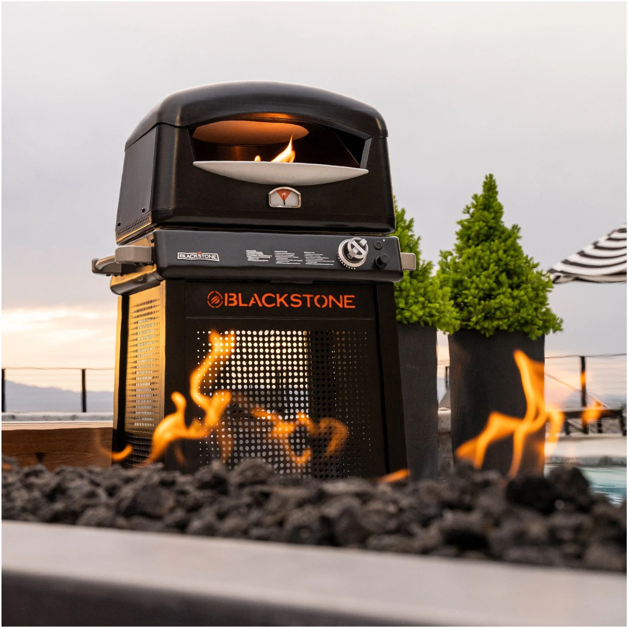 Pizza Oven with Mobile Cart - Image 5